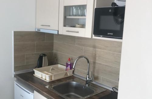 Lisina Apartamento | Apartman “N 17”Milmari-Kopaonik