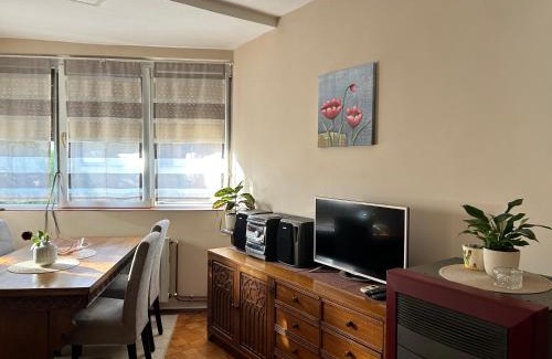 Cuprija Apartamento | Apartman NANA