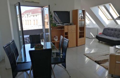 Vrsac Apartamento | Apartman Nataša 3