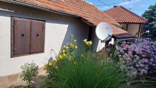 Mladenovac Apartamento | Apartman Nebojša