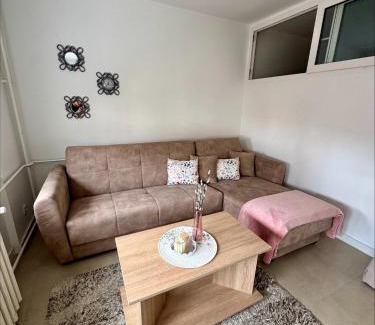 Kikinda Apartamento | Apartman Nest