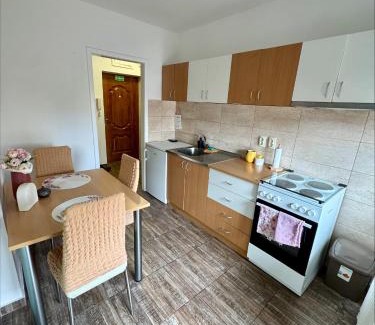 Kikinda Apartamento | Apartman Nest