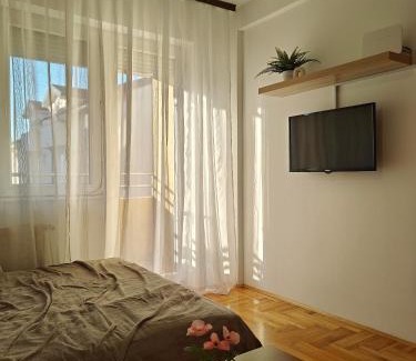 Pozarevac Apartamento | Apartman Nest