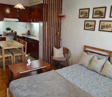 Pozarevac Apartamento | Apartman Nest