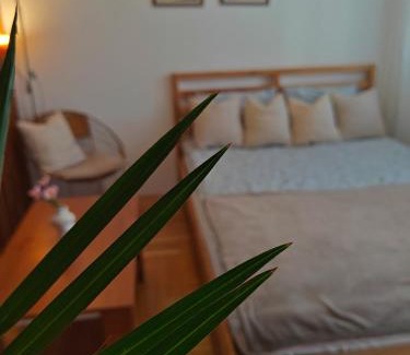 Pozarevac Apartamento | Apartman Nest
