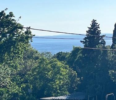 Povile Apartamento | Apartman Nevia