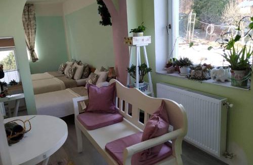 Petrovaradin Apartamento | Apartman Nikola
