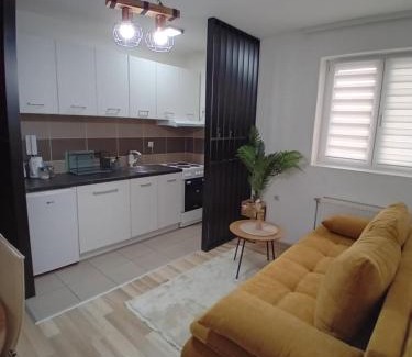 Jagodina Apartamento | Apartman, Nina ,