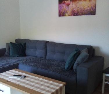 Soko Banja Apartamento | Apartman Nisić