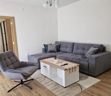 Soko Banja Apartamento | Apartman Nisić