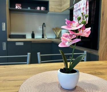 Novi Sad Apartamento | Apartman NS FREE PARKING