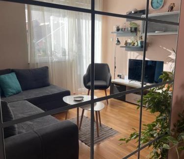 Grbavica Apartamento | Apartman Oaza