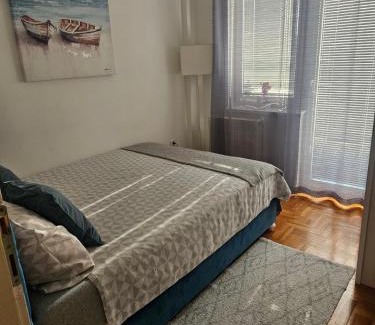 Pozarevac Apartamento | Apartman Odmor012