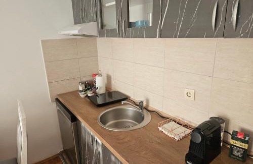 Pozarevac Apartamento | Apartman Odmor012
