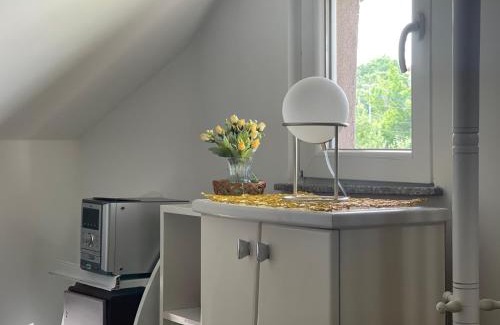 Krusevac Apartamento | APARTMAN Pahuljica