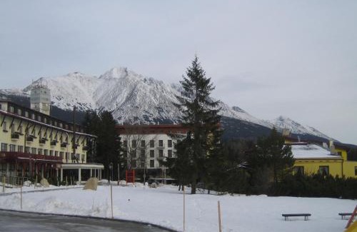 Strbske Pleso Apartamento | Apartman Panorama 329