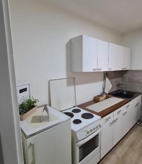 Leskovac Apartamento | Apartman Pavlovic