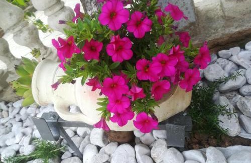 Zurkovo Apartamento | Apartman Pelcic,with WiFi and free parking
