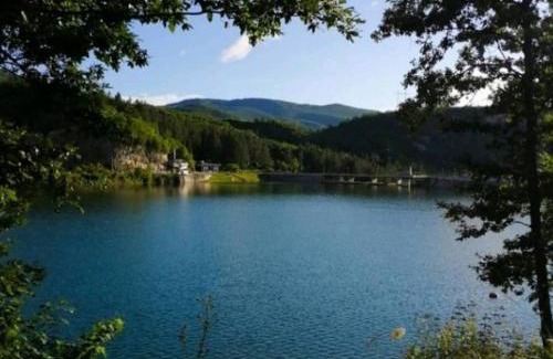 Zlatibor Apartamento | Apartman Petar