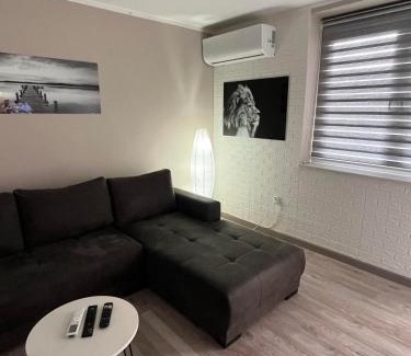 Donji Milanovac Apartamento | Apartman Petrov