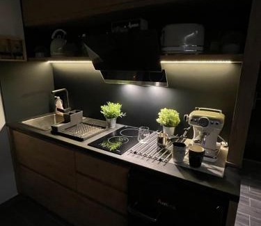 Veliko Gradiste Apartamento | Apartman Plaža Lux
