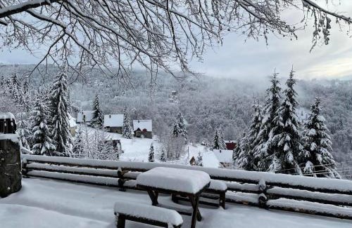Kopaonik Apartamento | Apartman Planinska kuća Savić, Kopaonik