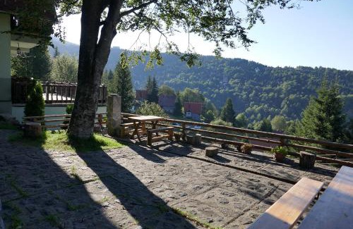 Kopaonik Apartamento | Apartman Planinska kuća Savić, Kopaonik