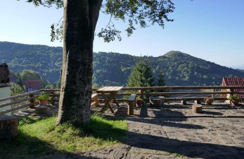 Kopaonik Apartamento | Apartman Planinska kuća Savić, Kopaonik