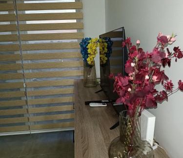 Veliko Gradiste Apartamento | Apartman Pogled