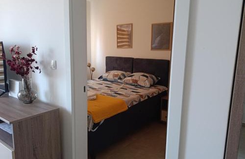 Veliko Gradiste Apartamento | Apartman Pogled
