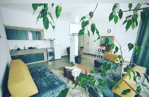 Vranje Apartamento | Apartman predah Vranje FREE PARKING U SKLOPU JEDINICE