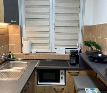 Banovo brdo Apartamento | Apartman Premijer 1
