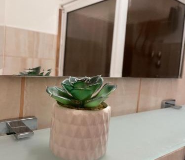 Sombor Apartamento | Apartman Prima Sombor