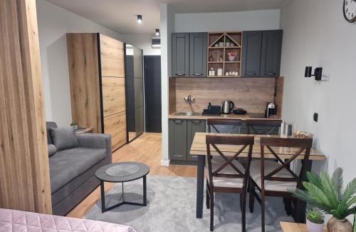 Kopaonik Apartamento | Apartman "PUZZLE" Bela Reka, Brzeće