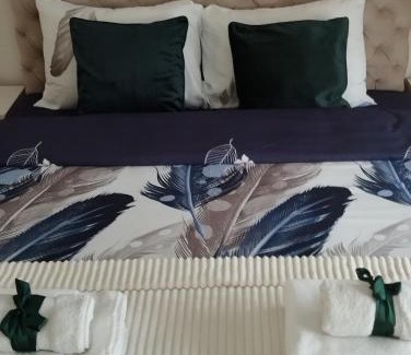 Vrnjacka Banja Villa | Apartman Raj