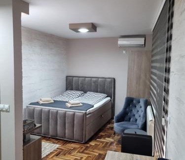 Banja Koviljaca Apartamento | Apartman Ristanovic