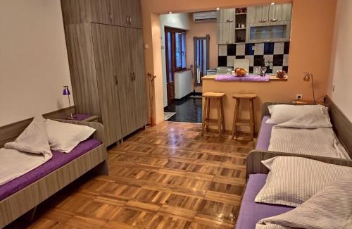 Niska Banja Apartamento | Apartman Ristic