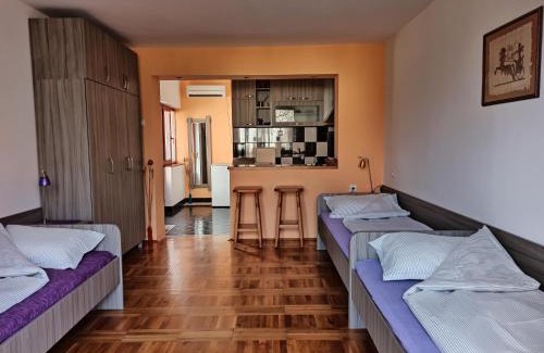 Niska Banja Apartamento | Apartman Ristic