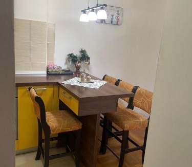 Cacak Apartamento | APARTMAN RODA
