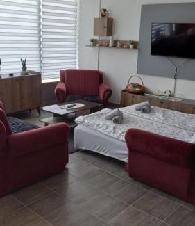 Donji Milanovac Apartamento | Apartman SANI