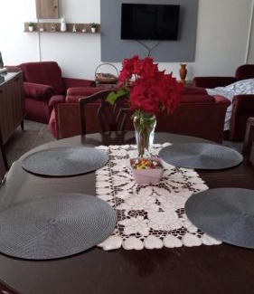 Donji Milanovac Apartamento | Apartman SANI