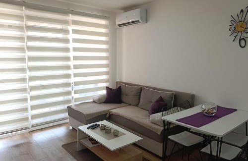 Veliko Gradiste Apartamento | Apartman Sara S