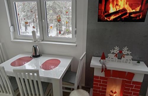 Divcibare Apartamento | Apartman Savić Divčibare
