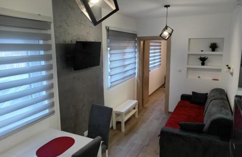 Divcibare Apartamento | Apartman Savić Divčibare