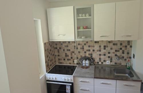 Sumadija Apartamento | Apartman Savic Banja Vrujci