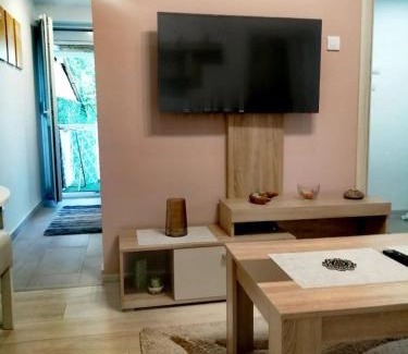Bor Apartamento | Apartman SIMONA
