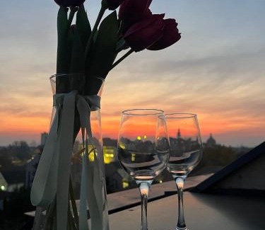 Sremska Mitrovica Apartamento | Apartman Sky