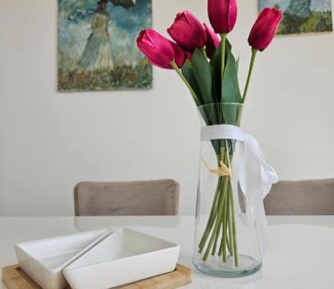 Sremska Mitrovica Apartamento | Apartman Sky