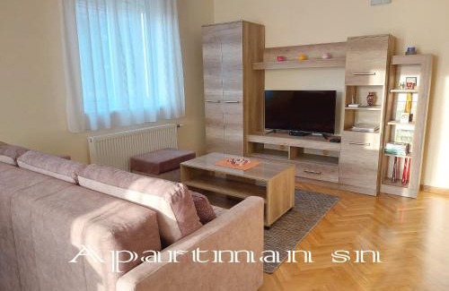 Vrnjacka Banja Apartamento | Apartman SN