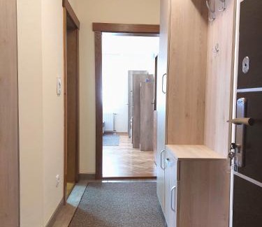 Vrnjacka Banja Apartamento | Apartman SN
